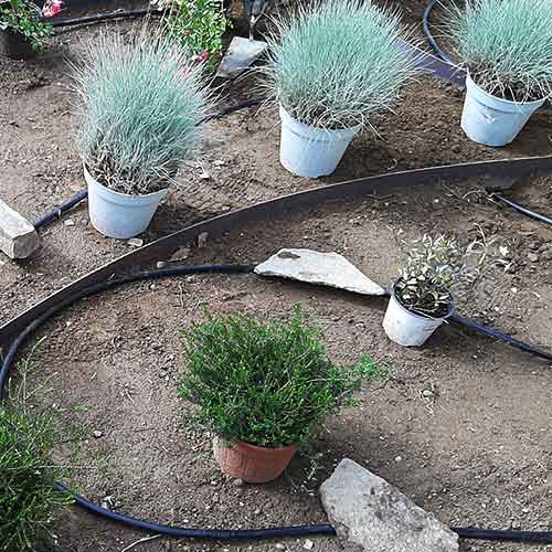 Artepianta-di-Luca-Carnevali-Manutenzione-giardini-AIUOLE-Allestimento-giugno-2021