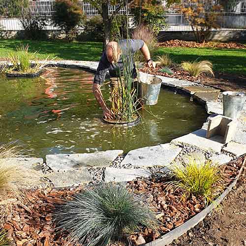 Artepianta-di-Luca-Carnevali-Manutenzione-giardini-LAGHETTI-Piantumazione-giugno-2021