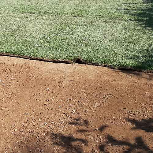 Artepianta-di-Luca-Carnevali-Manutenzione-giardini-TAPPETO-A-ROTOLI-Rotoli-giugno-2021